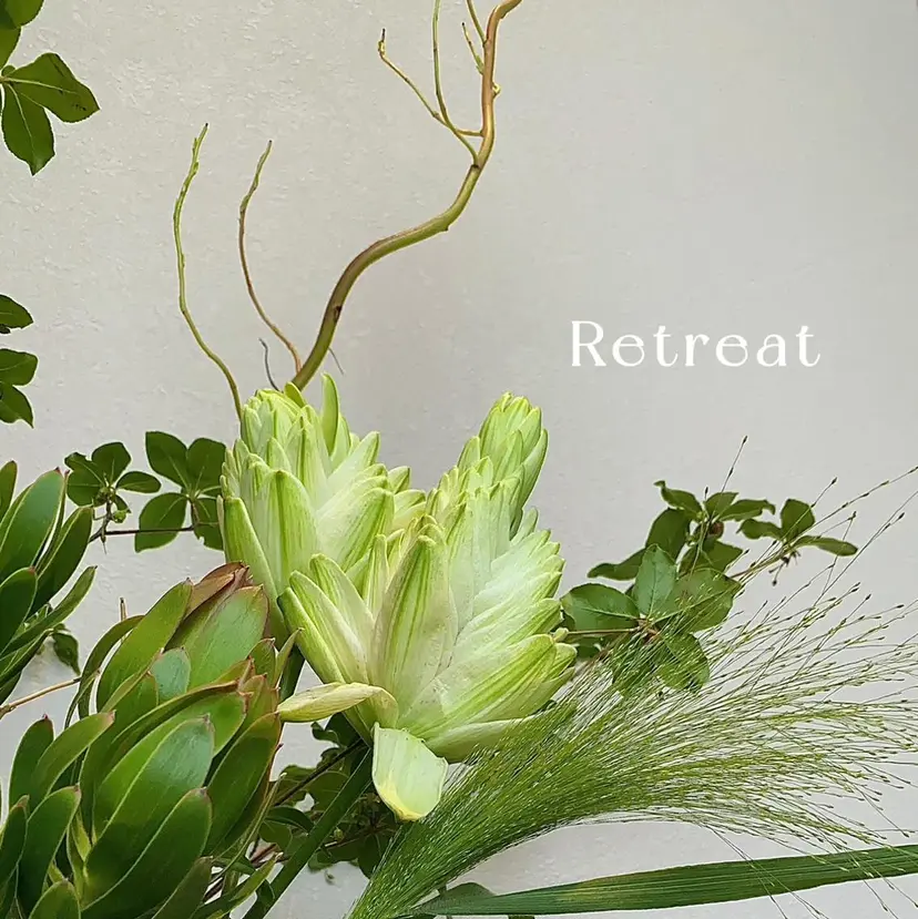 歯科医院提携 Retreatの掲載