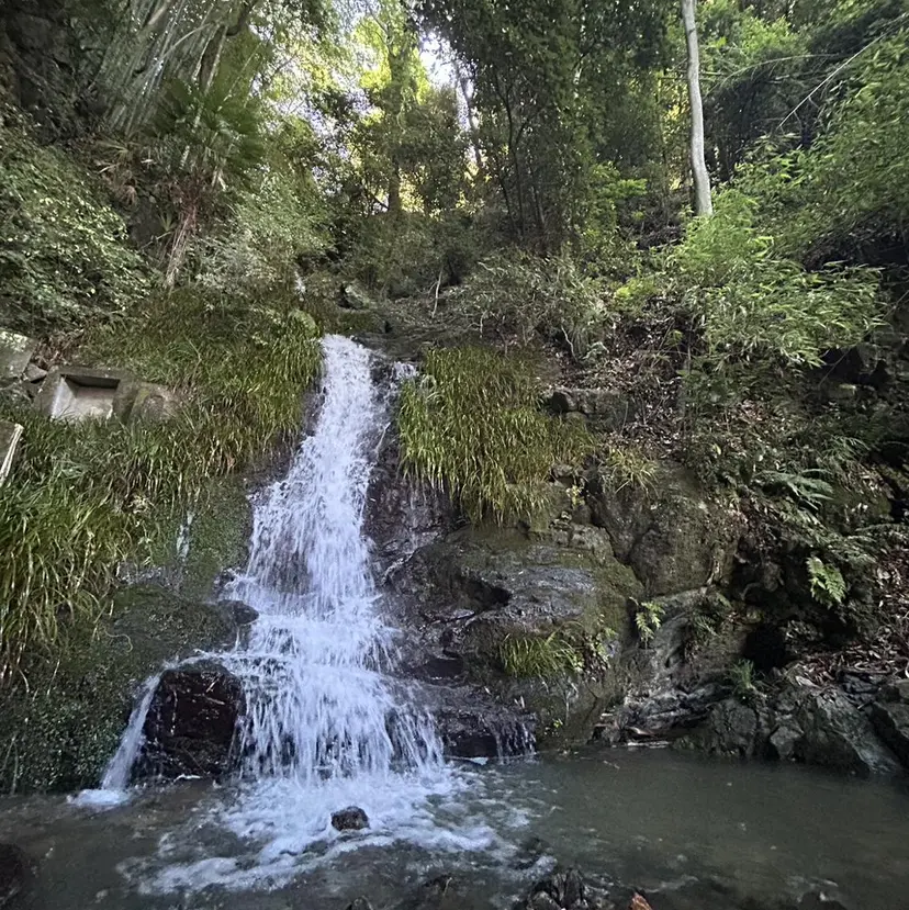 TIDEHAIR SHOBUの掲載