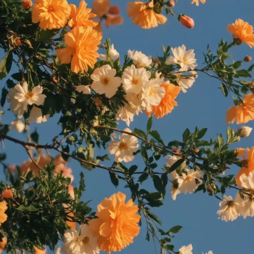 💐レイヤー/ 暖色/りゅーき💐の掲載