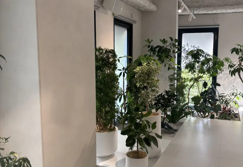 大橋 彩香の掲載