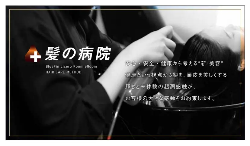 髪の病院 ルーミールームの掲載