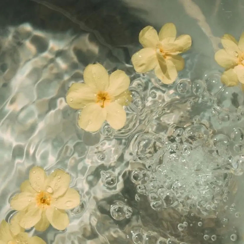 宮岡シノ /戸田公園徒歩2分の掲載