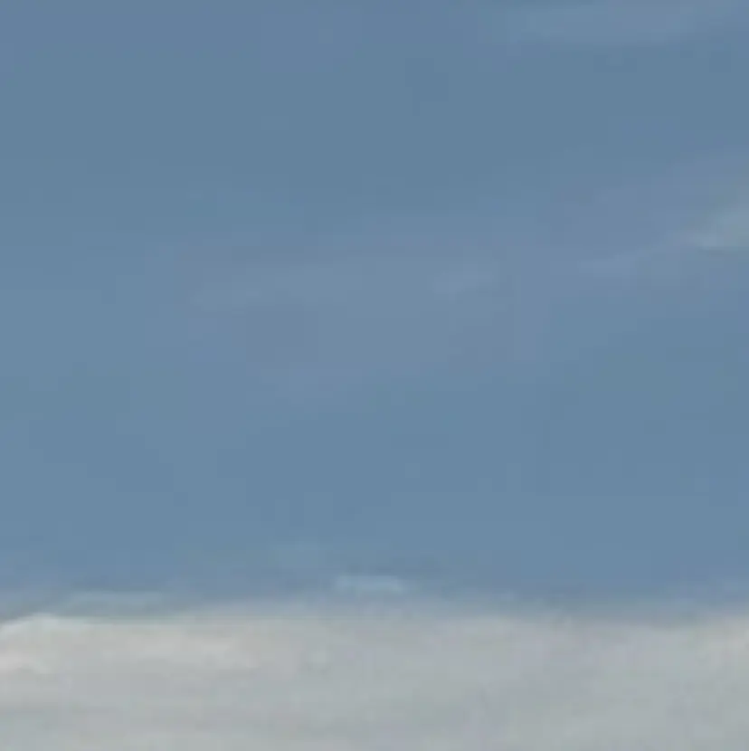 新田 /nailの掲載