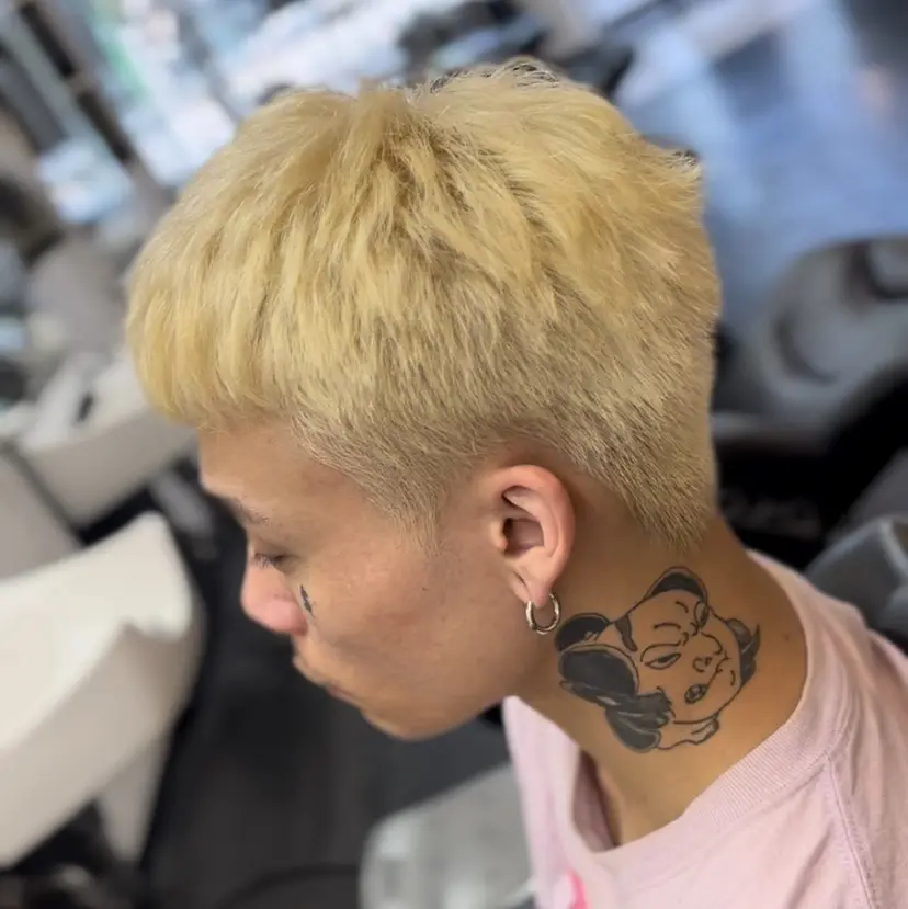 レイヘア コウキの掲載