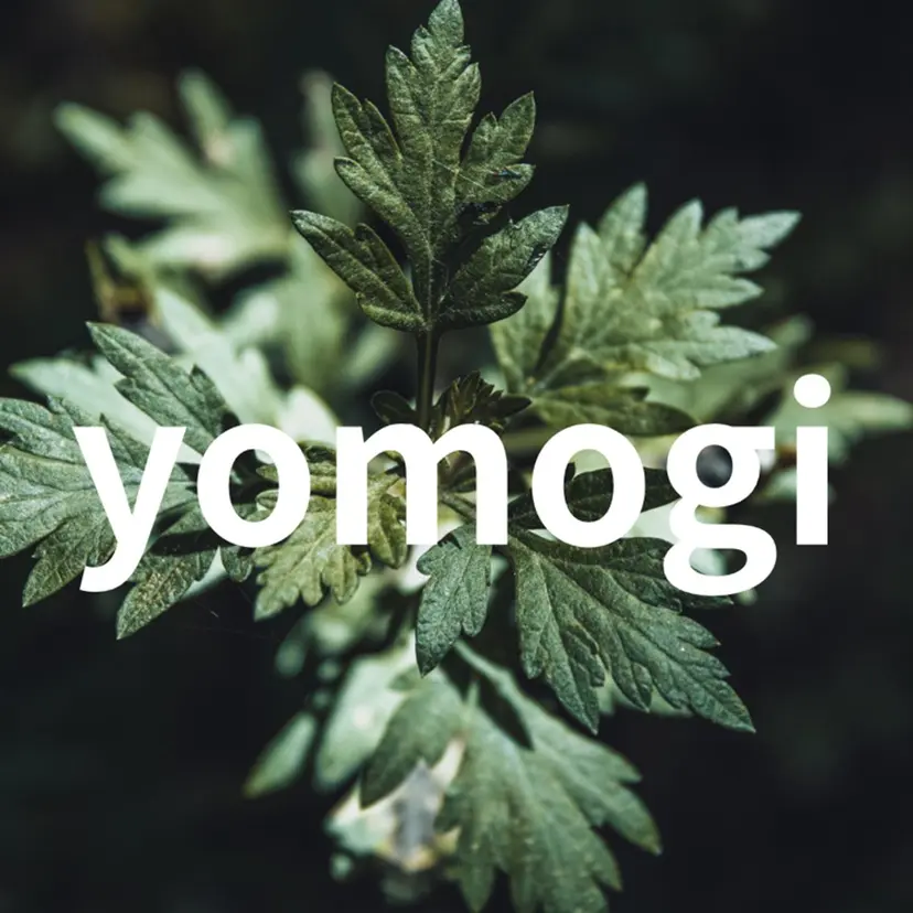 温活 よもぎ蒸しの掲載