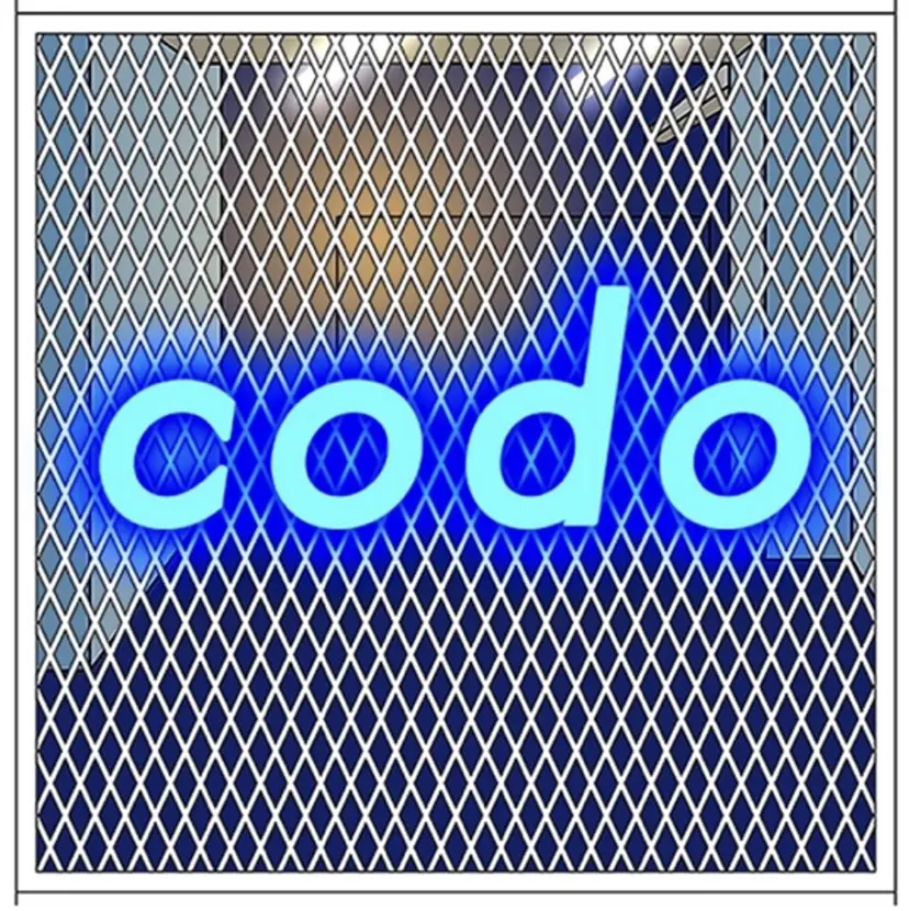 codo🌺 桑原 理名の掲載
