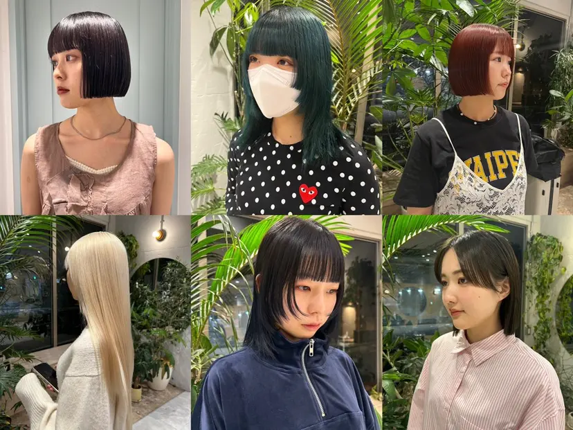 🦖ミニボブ/ボブ /MOEKA🦕の掲載