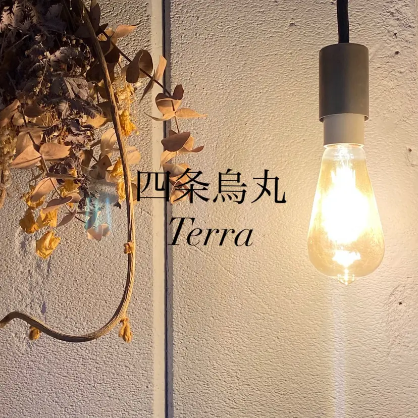 terra🌷 mayaの掲載