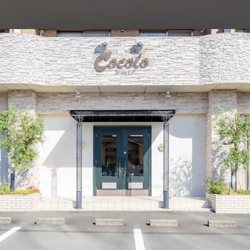 宮澤 弥湖の掲載