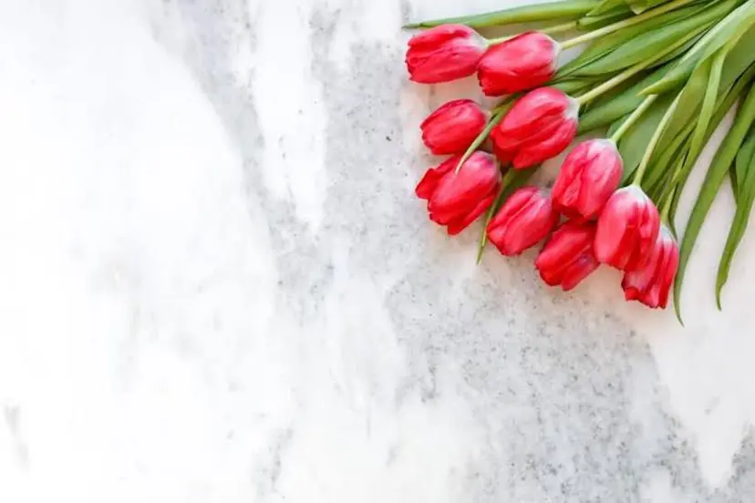 kumai ᢉ𐭩 ᩚの掲載