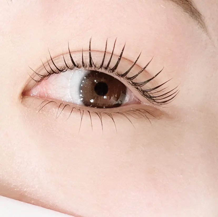 NOAH SARINAの掲載