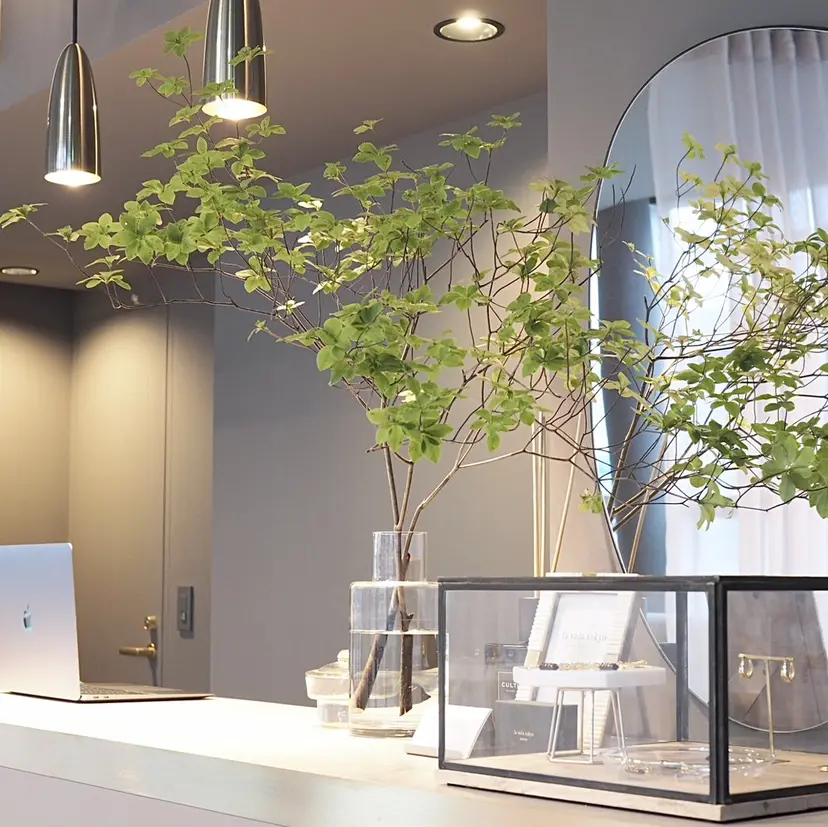 la vela アシスタントの掲載