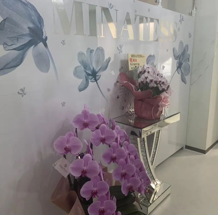 ミナティス Aiの掲載