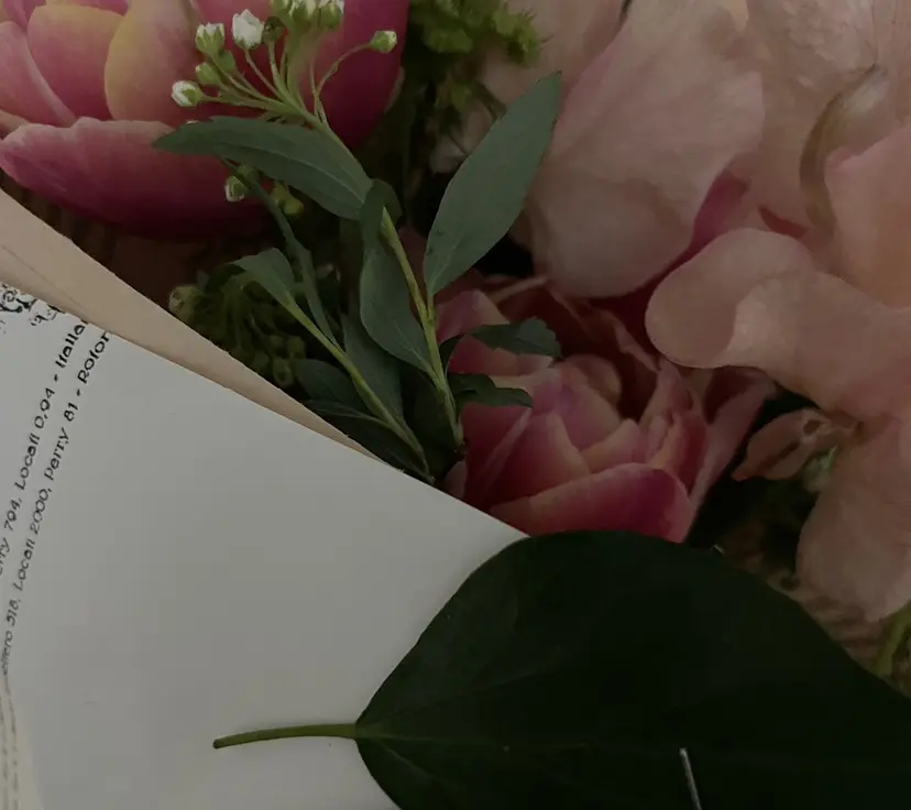 RONND メイの掲載