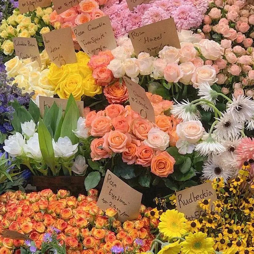 暖色ｶﾗｰ/ﾚｲﾔｰ ｶｯﾄ/Yunaの掲載