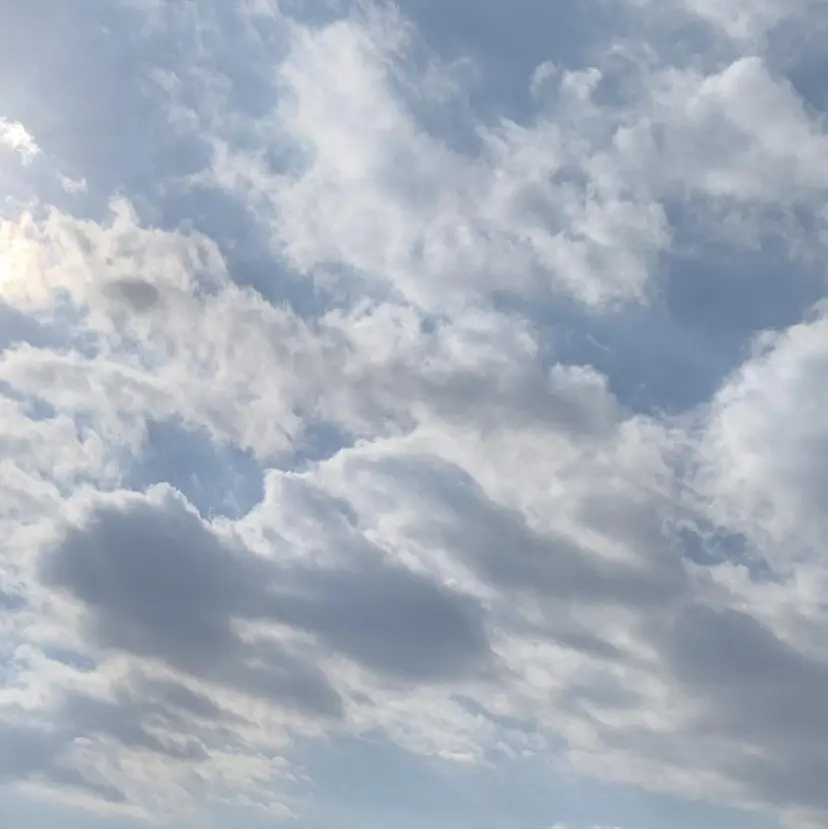 金山/まつ毛サロン 伊藤の掲載