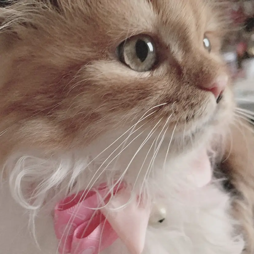 竹元 夏美の掲載