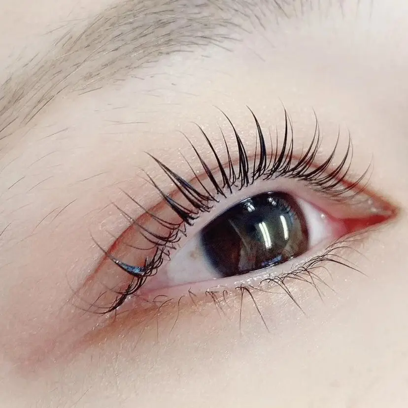 まつ毛眉毛専門店 吉田の掲載