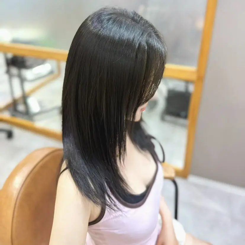 チョウ シモの掲載