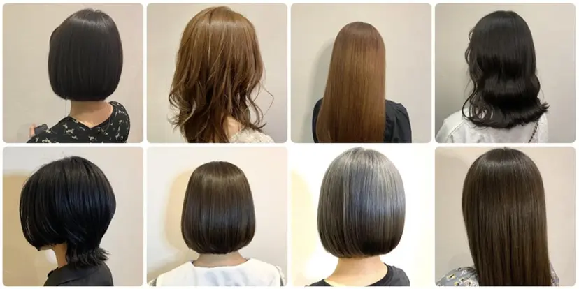 🧸 仲間ひめかの掲載