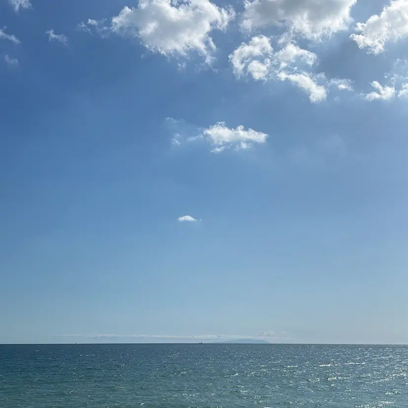 LINOA鵠沼海岸 旧 NEONの掲載