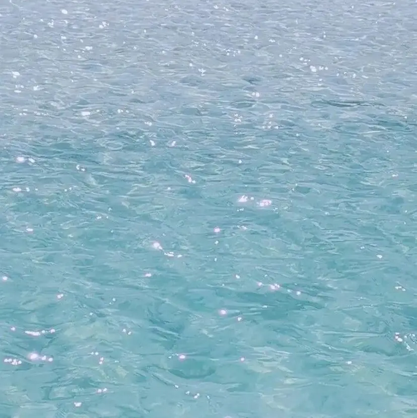 ショートカット募集中 クワバラの掲載