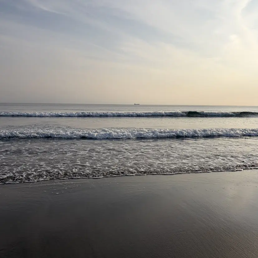 前田 流和の掲載