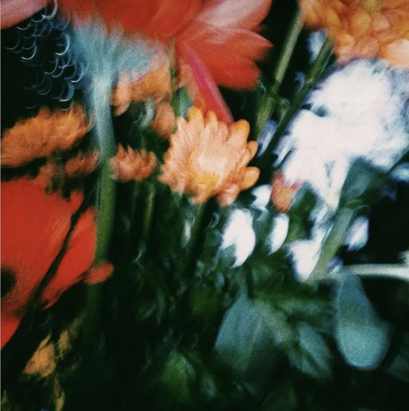 sasaki sayaの掲載