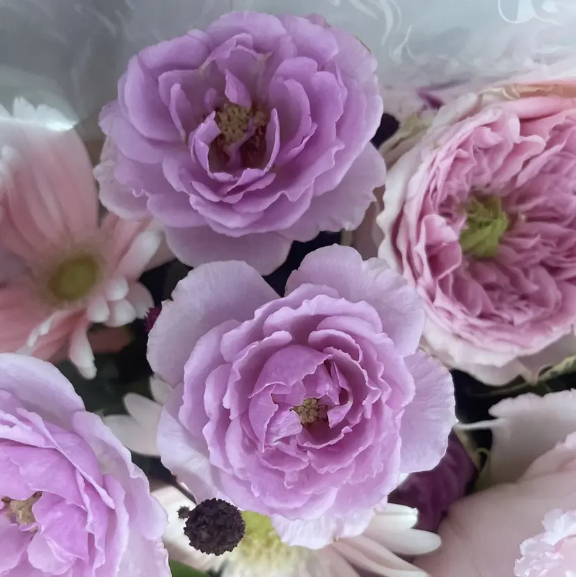 ニキビ跡/毛穴/ 肌質改善/北村ももこの掲載