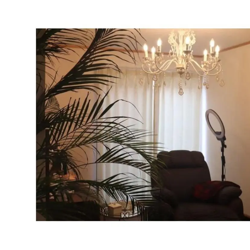 吉原 由里子の掲載