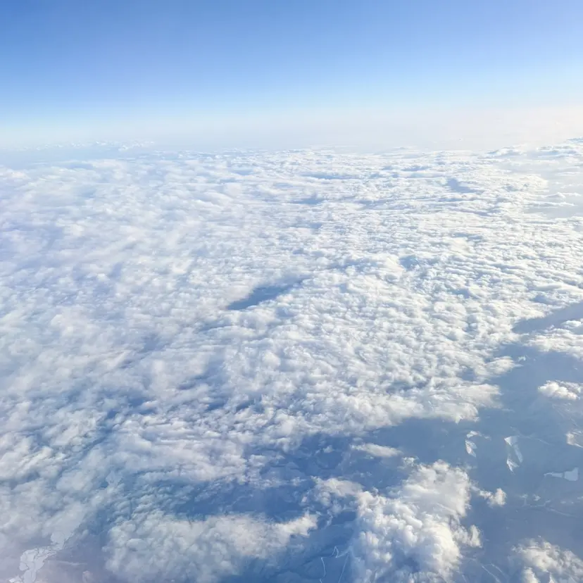 メンズカット Hikaruの掲載