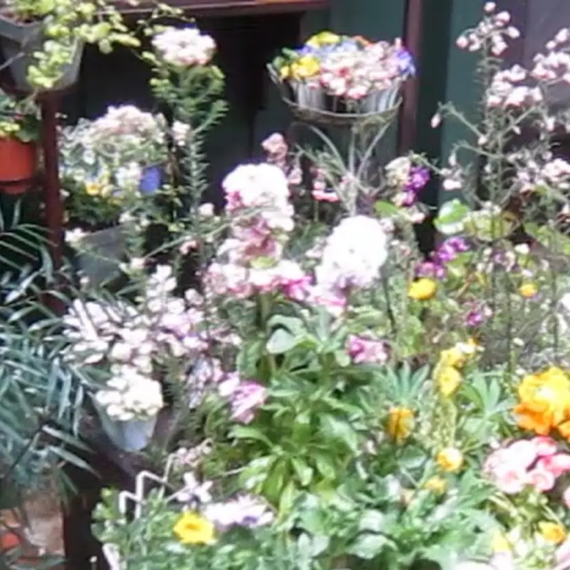 💫モデル募集中⚡️ みゆの掲載