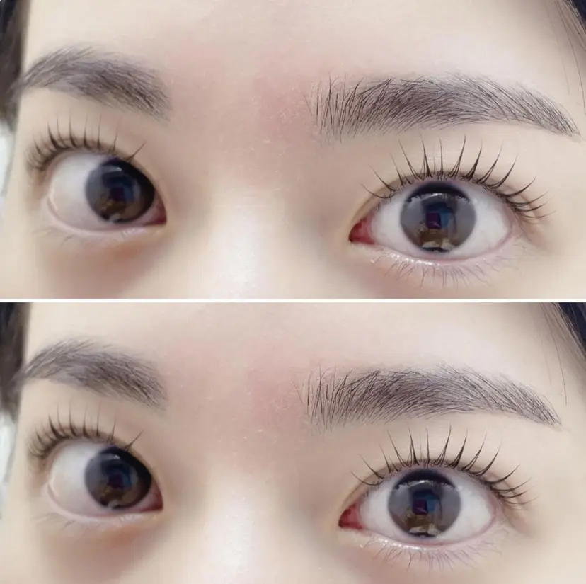 jasmine yamashitaの掲載