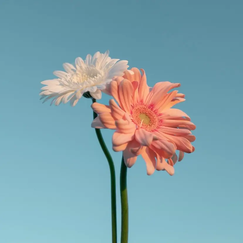 佐藤 天真の掲載