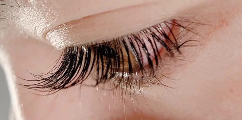 百田 侑奈の掲載