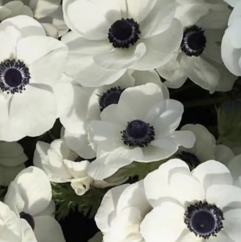 Bianca 武蔵浦和 瀬川の掲載