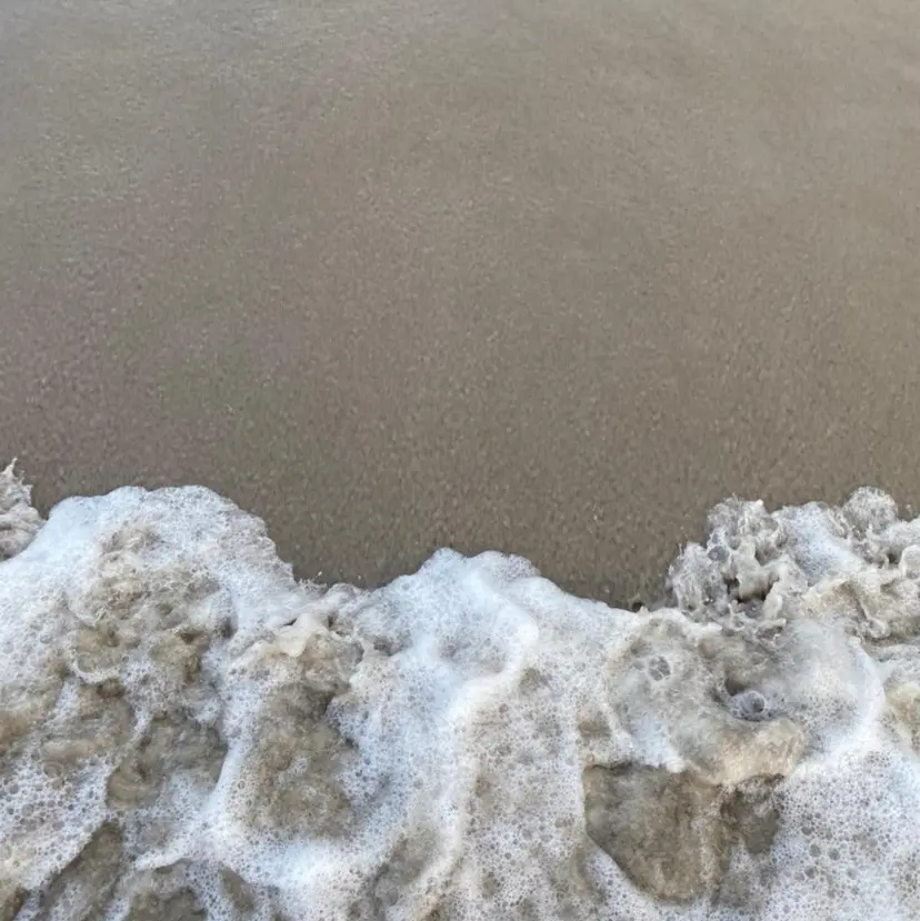 有村 ひとみの掲載