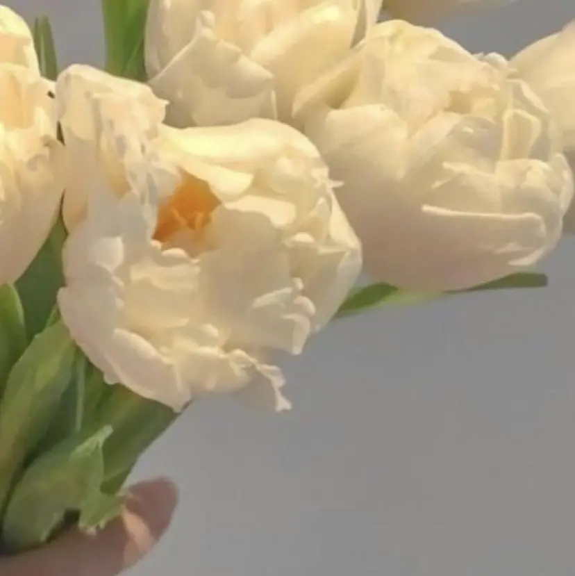 川北 彩乃/完全個室サロンの掲載