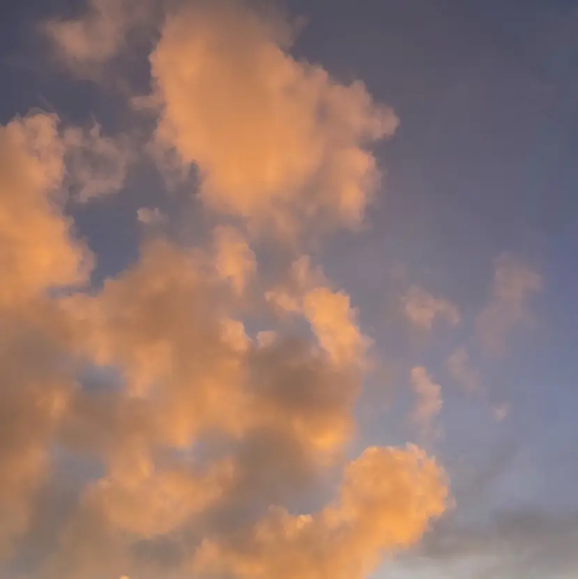 🫧うる艶ヘアー🫧 Yukaの掲載