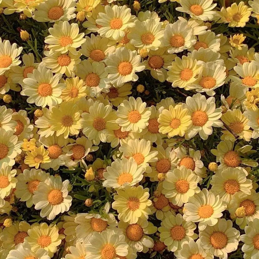 Narumi 🧚‍♂️の掲載