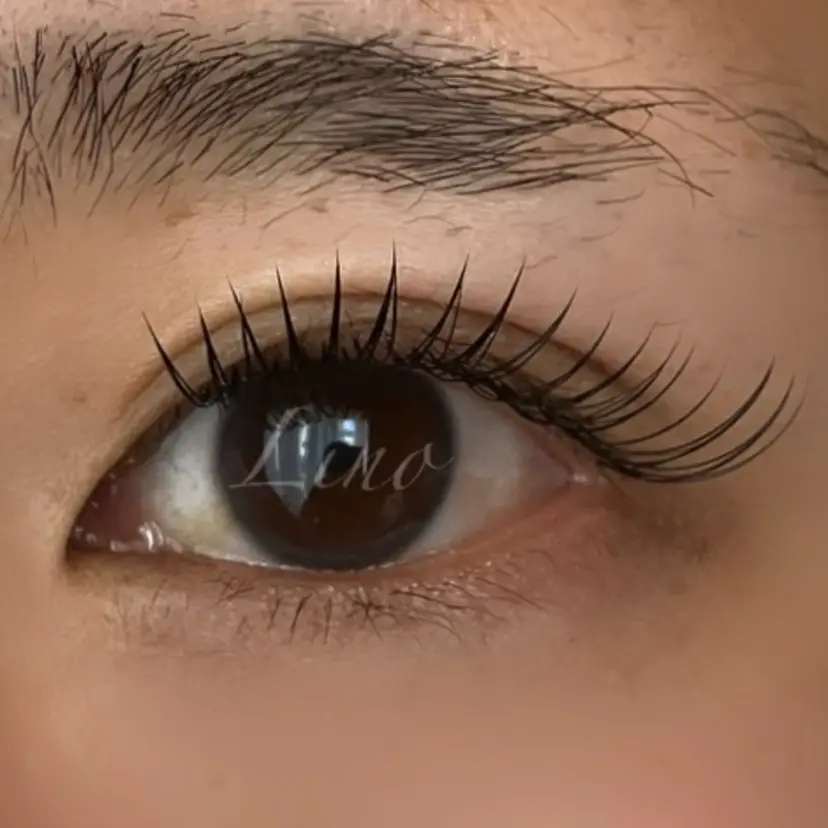 Salon de Linoの掲載