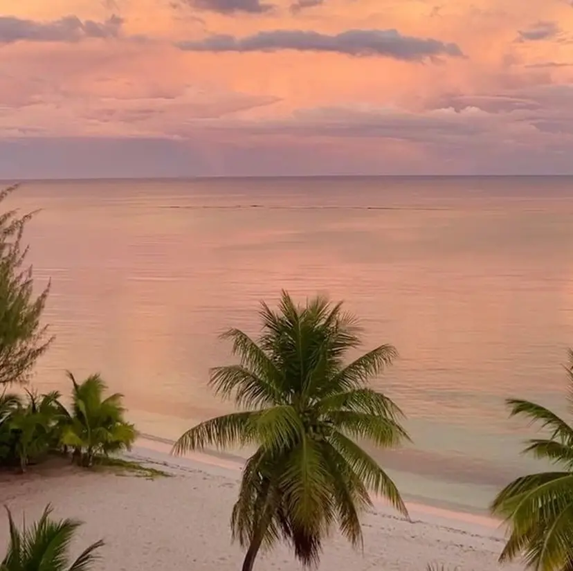 . ネイルMARIA🌼の掲載