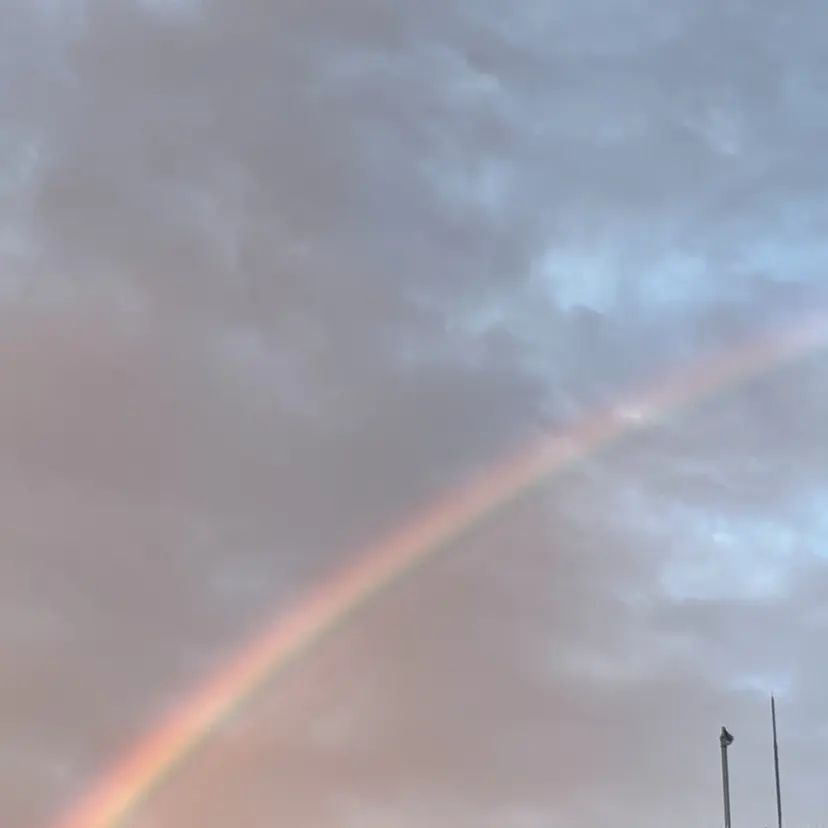 KAMIHIRA RINAの掲載