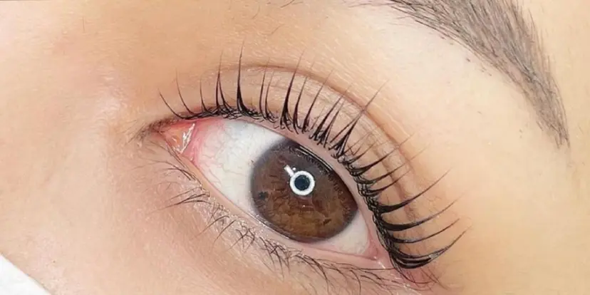 アイリスト 佐藤の掲載