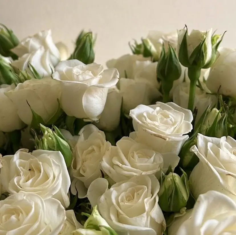 Elle Charmeの掲載