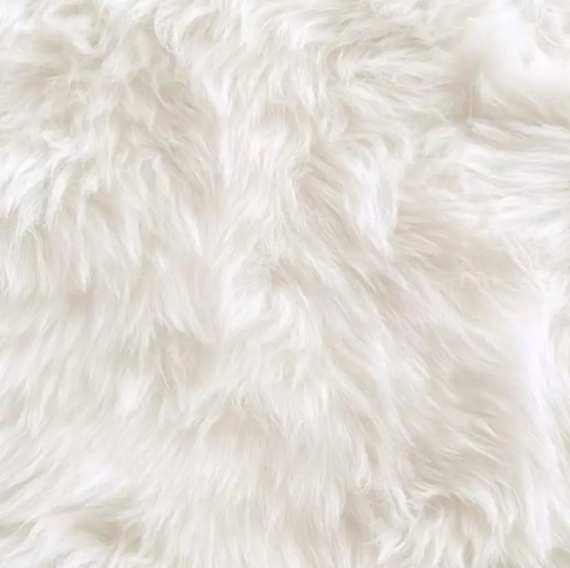 井上 花凛の掲載