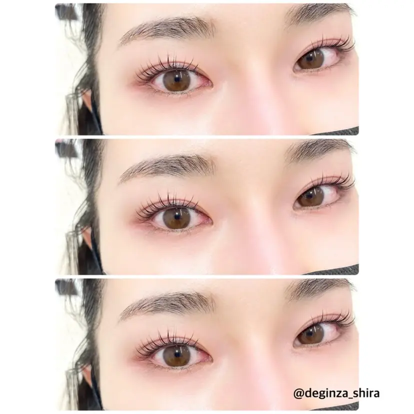 白潟 (シラガタ)の掲載