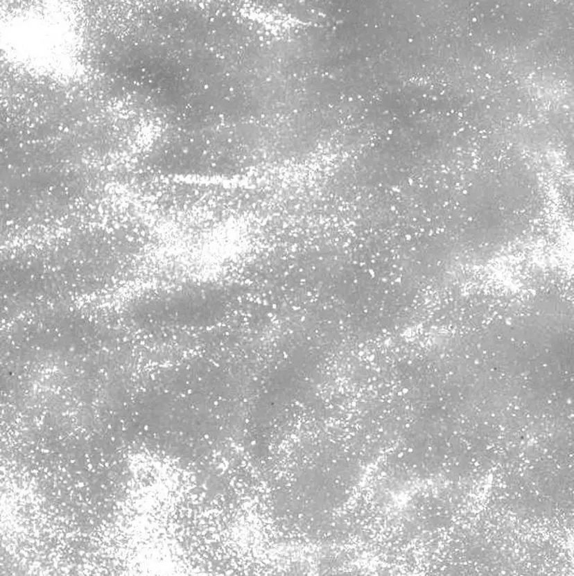 暗髪×透明感カラー 🩶kazuhoの掲載