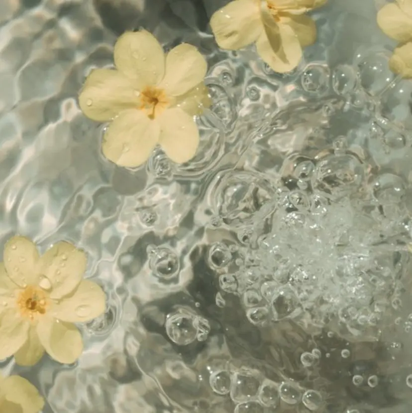 レイヤー/ナチュラル 💐nao.の掲載