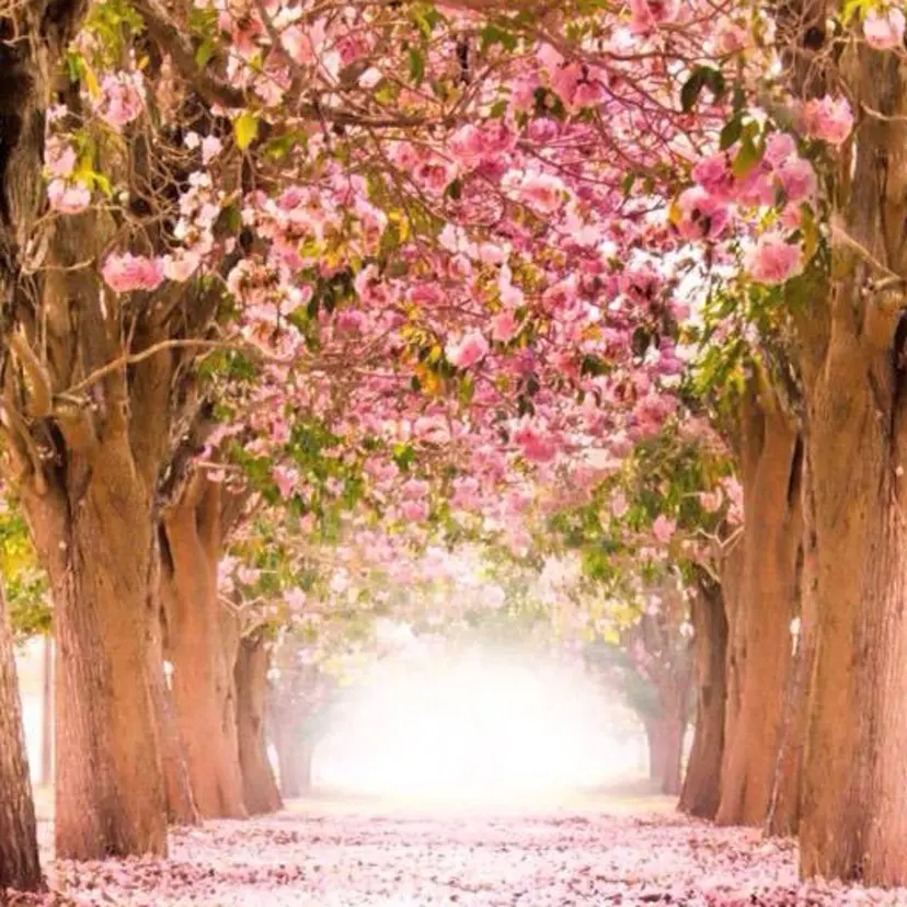 遠藤 琴音の掲載